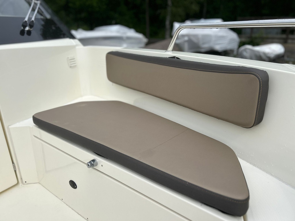 Buster Magnum E + Yamaha F225